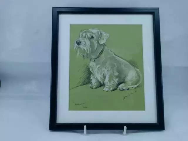 ucy Dawson - Sweet SEALYHAM TERRIER "Bundle" 1946 Vintage Dog Print Matted