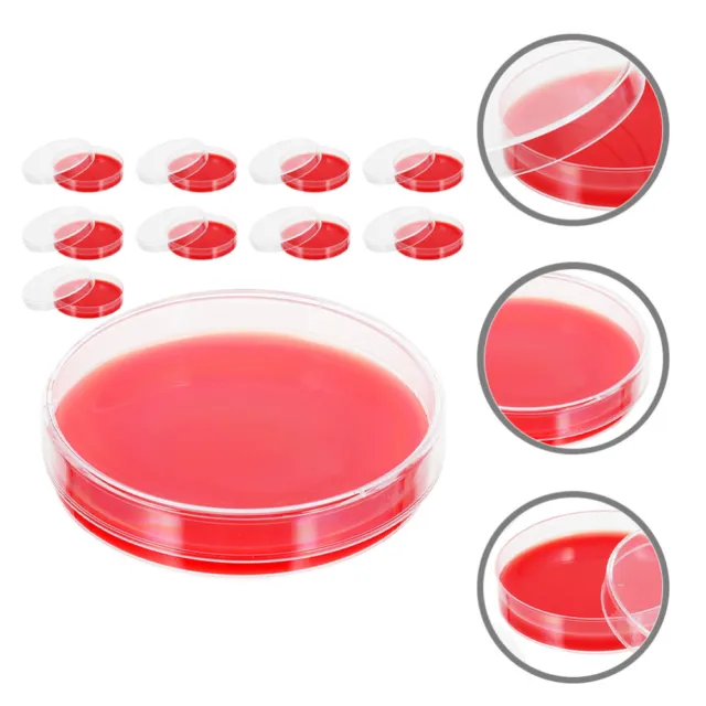10 Pcs Blood Agar Plate Culture Medium Plates Experiment Petri Dishes Growth