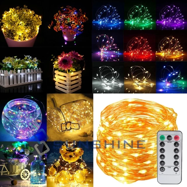 USB Copper Wire 50/100 LED Fairy String Lights X'mas Tree Party Decor w/Remote