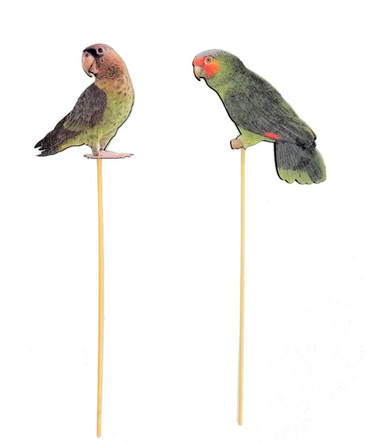 2 x Blumenstecker Stecker Blumentopf Papagei Vogel grün tropisch