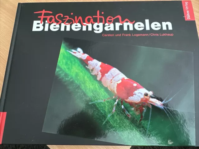 Faszination Bienengarnelen von Carsten Logemann | Buch | Zustand sehr gut