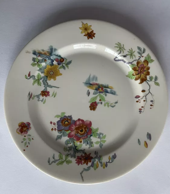 Old Ivory Cathay no trim by Syracuse China OPCO 9 1/8" Dinner Plate, floral