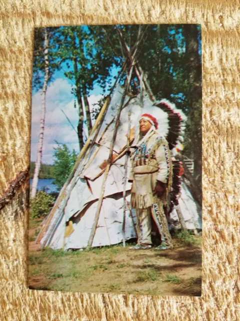 Indian Chief And Tapee.vtg Unused Postcard*P59