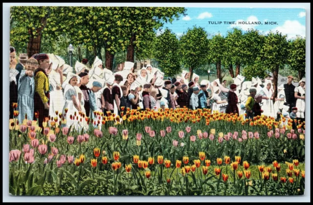 Postcard Tulip Time Posted Holland MI G44