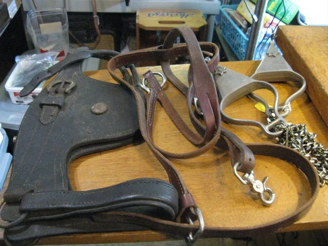 Vtg Leather Horse Items