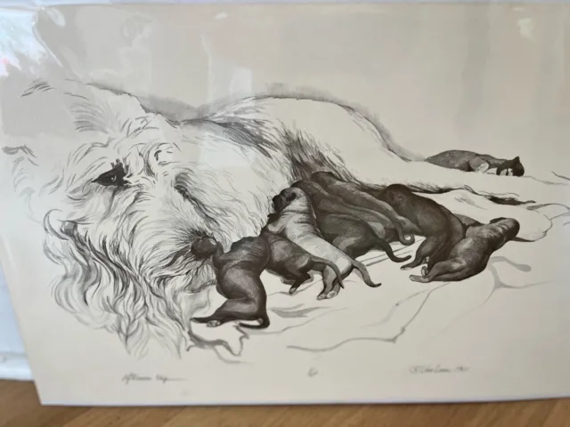 Irish Wolfhound mom and pups ltd Edition Print 11x17 By Van Loan signed