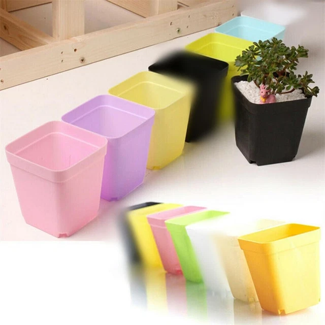 Pflanzgefäß Blumentöpfe Pflanze Blume Bunt Büro Dekoration Gemüse Haus