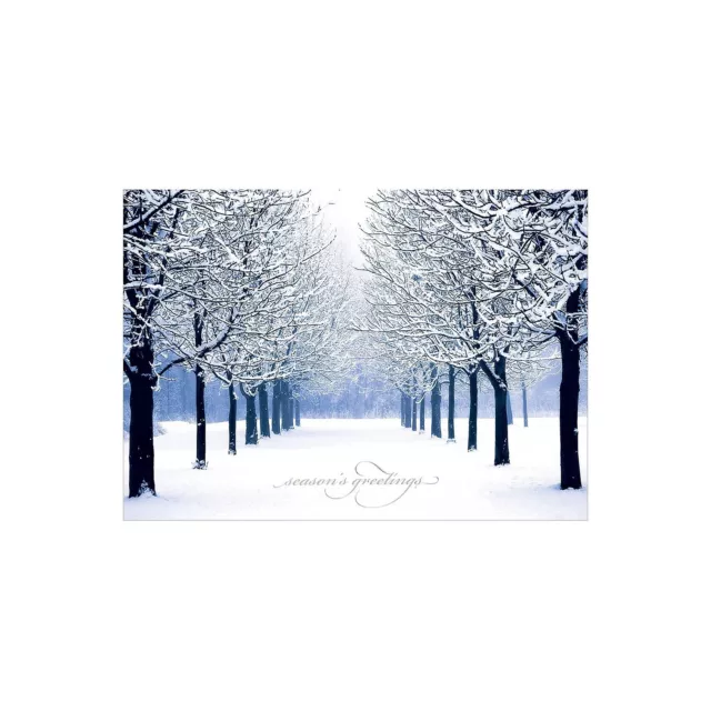 JAM Paper Christmas Cards Set Blue Tree Scene 25/Pack (526C1158B)