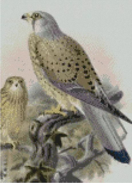 Kestrel Complete Counted Cross Stitch Kit 7.75" x 11"