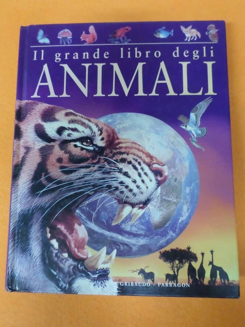 60 Anni - Libro degli ospiti: Decorazioni et regali originali per il