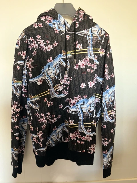 DIOR X SORAYAMA Dinosaur Oblique Hoodie 1 000.00 PicClick UK