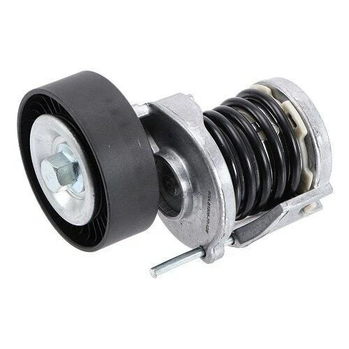 Tendeur de courroie d'accessoires pour Audi A4 (B6)