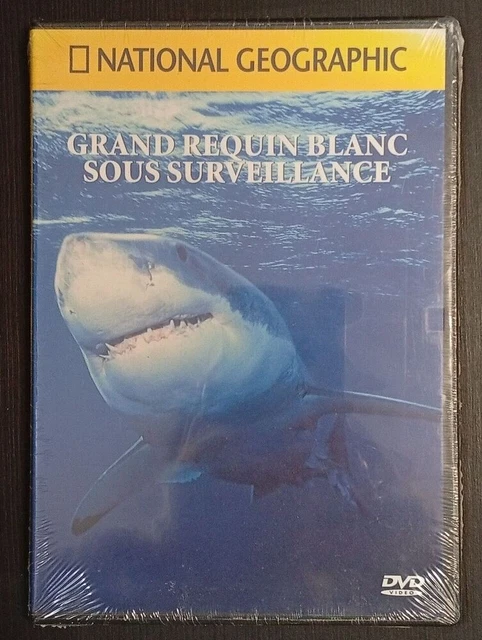 Voitures militaires : une intéressante collection Altaya - Les Voitures