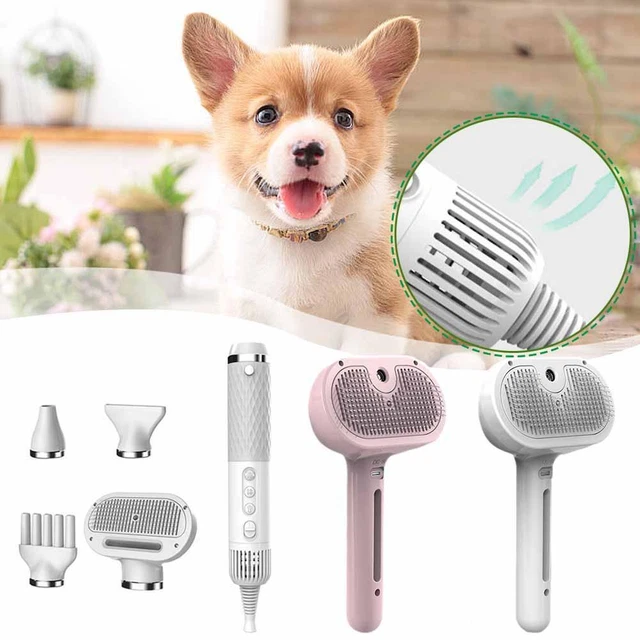 Asciugacapelli per cani, asciugacapelli portatile 5 in 1 intelligente con temperatura I8R4
