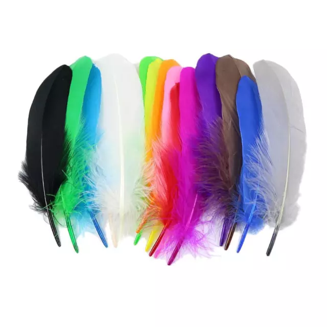 50 Pieces  Feathers Natural Feathers Decorative Feathers Decorative Brothers