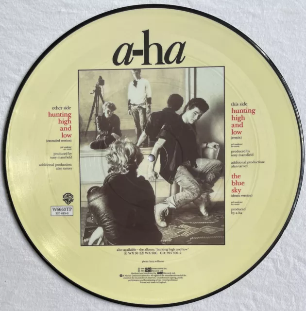 A-Ha -Hunting High And Low- Rare UK 12" Picture Disc (aha) (Vinyl Record)