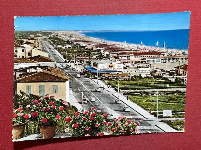 Cartolina - Marina di Pietrasanta (Tonfano, Lucca ) - Lungomare - 1959