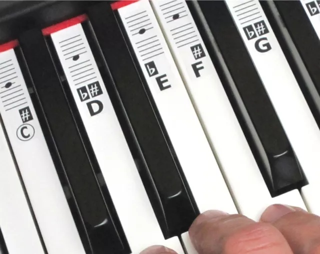 Klavieraufkleber - 52 Musik Keyboard Schlüsselnoten Etiketten (49-88 Tasten) + Online-Unterricht