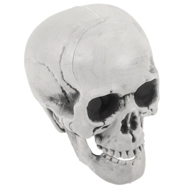 Orecchini Teschio Scheletro Donne Gioielli Di Halloween In