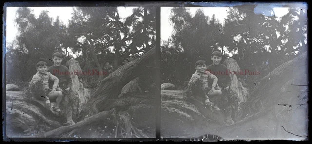 Famille Enfants France c1930 Photo NEGATIVE Plaque verre Stereo Vintage P30L17n7