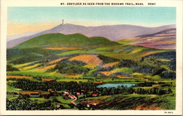 Mount Greylock Mohawk Trail View Massachusetts Mountains Forest Linen Postcard