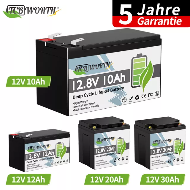 LiFePO4 12V 10Ah 12Ah 20Ah 30Ah Lithium Batterie Akku BMS Aussenborder Camping