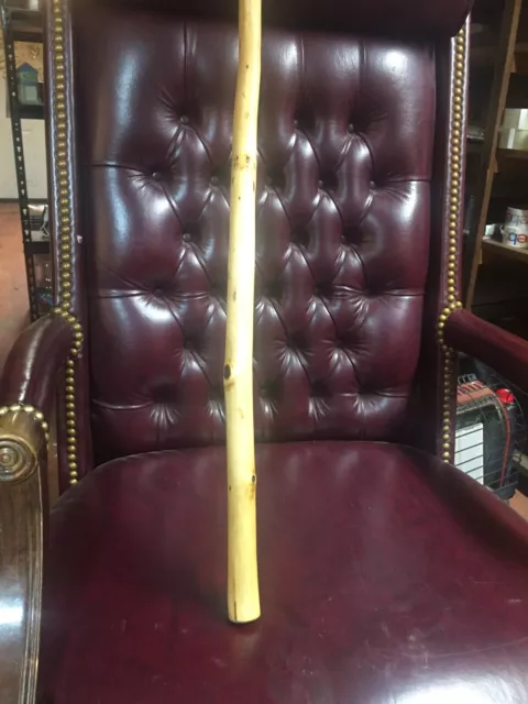 Hand carved walking stick , Mushroom Stick Cane Rustic Folk Art #20