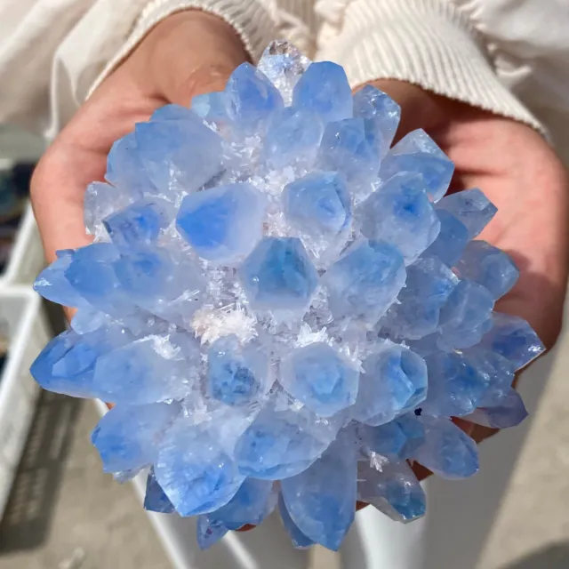 1.1LB New Find BLUE Phantom Quartz Crystal Cluster Mineral Specimen Healing