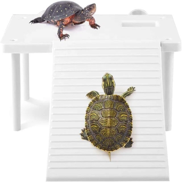 PLASTIC FLOATING PLATFORM White Ramp Float Basking Platform Bask EUR 12 ...