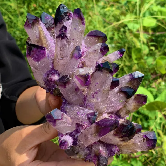 1.99LB New Find purpl Phantom Quartz Crystal Cluster Mineral Specimen Healing