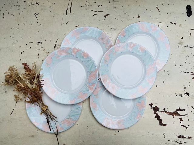 Lot73 De 6 Assiettes Creuses Arcopal France Décor Floral Polluy