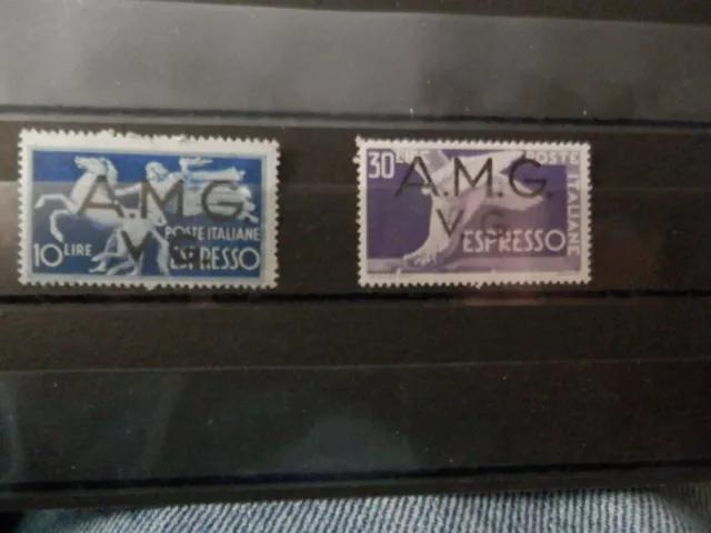 AMG Italy 1946 Venezia Giulia (VG) Sc# 1LNE 1-2 MNH  VF       Special Delivery