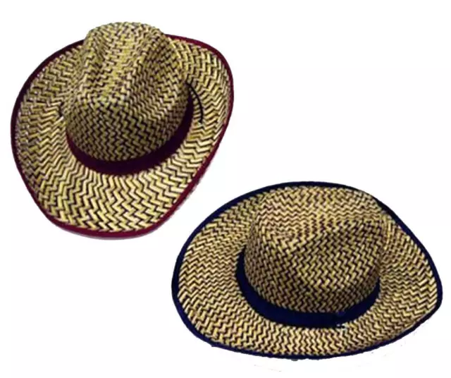 12 COLORED ZIG ZAG STRAW COWBOY HAT #111 wholesale bulk lot unisex western hats