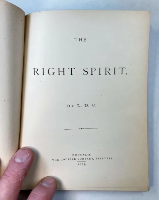 RARE Book - The Right Spirit - 1885 by Lizzie Cottier - Insane Asylum Wife Abuse 4
