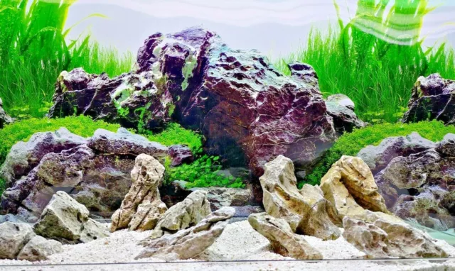 SEIRYU RYUOH STONE ADA STYLE set 3 10 pieces AQUARIUM AQUASCAPING IWAGUMI, ROCK