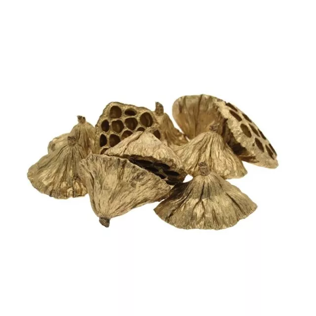 Gold Medium Lotus Heads 6-8cm approximately 20-30 Per Bag Christmas Craft Decor