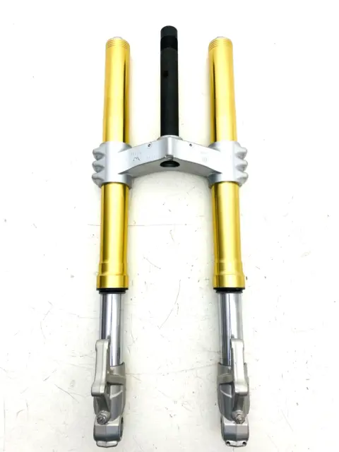 Forcelle Marzocchi Benelli Tnt 1130 900 Front Forks Oro Chiaro C 0300269000000