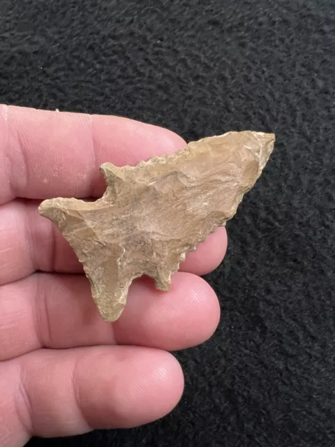 Very Nice Ancient Authentic Pinetree Arrowhead From North Mississippi 2