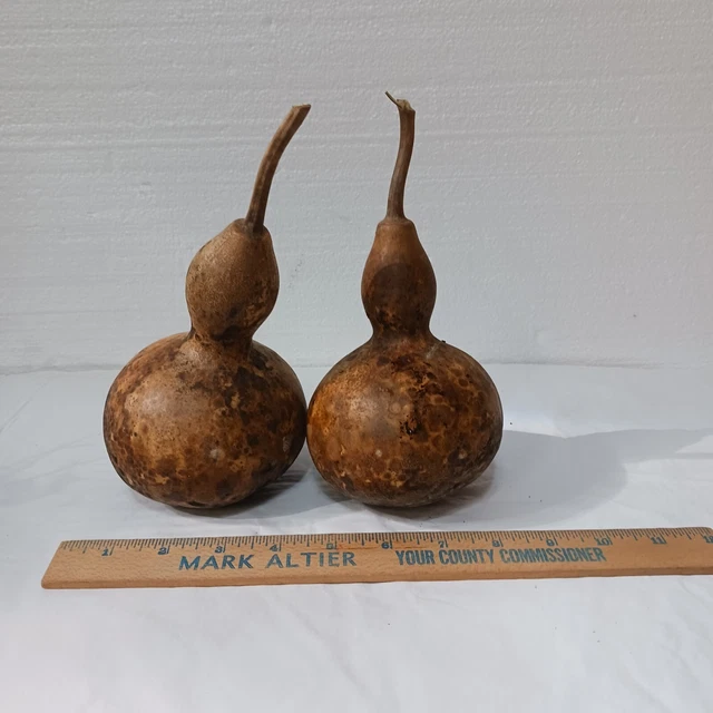Dos calabazas secas pequeñas artesanales madera quemada decoración de cabina pintable