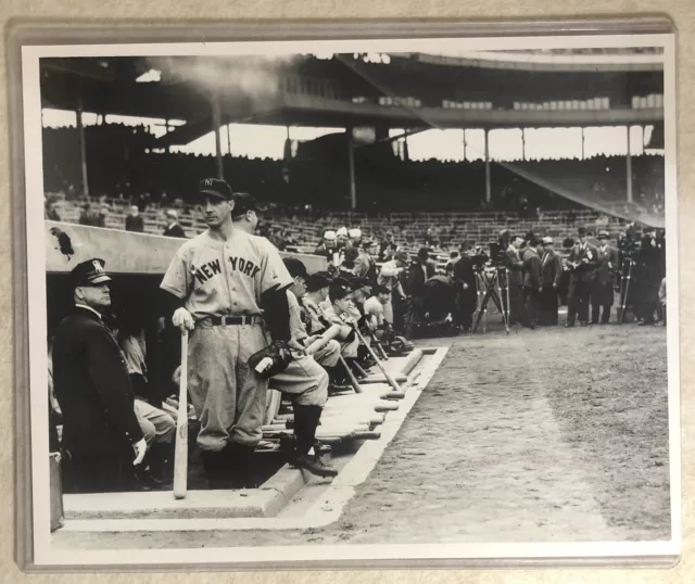 1938 World Series Photo Yankees Dugout Picture Rare 8x10