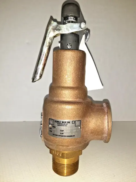 NEW 1-1/4" Kunkle model 6010 Safety Relief Valve type 6010GFM01-AM0100