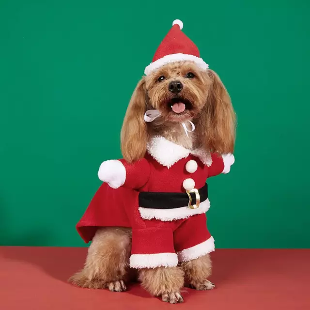 Pet Puppy Dog Christmas Clothes Santa Claus Riding Costume Suit T8 Party T3A0