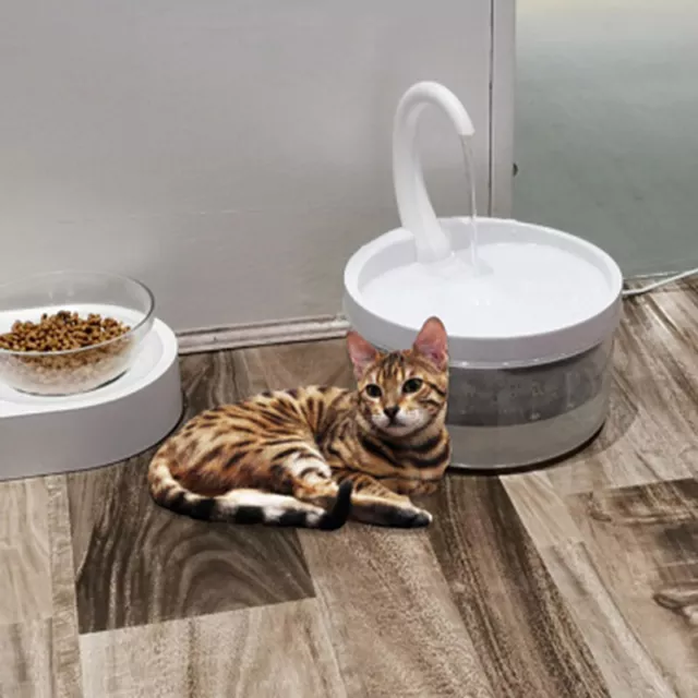 Fontaine à eau Smart Cat M4 Distributeur d'eau à circulation automa Mpib