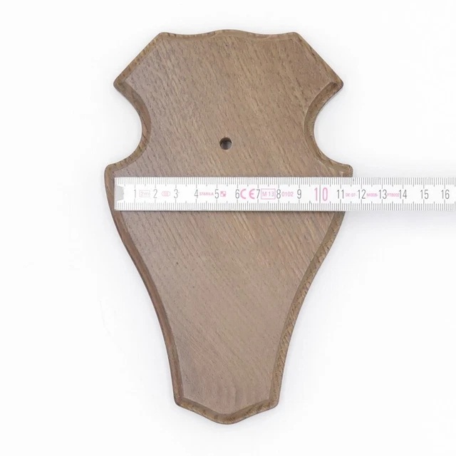 5 Pieza Ciervo Escudo de Trofeo Romo Braun Pequeño Af 19CM X 11CM Con Kieferfach 3