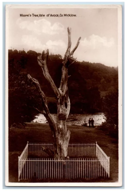 Co Wicklow Ireland Postcard Moore's Tree Vale of Avoca c1940's RPPC Photo