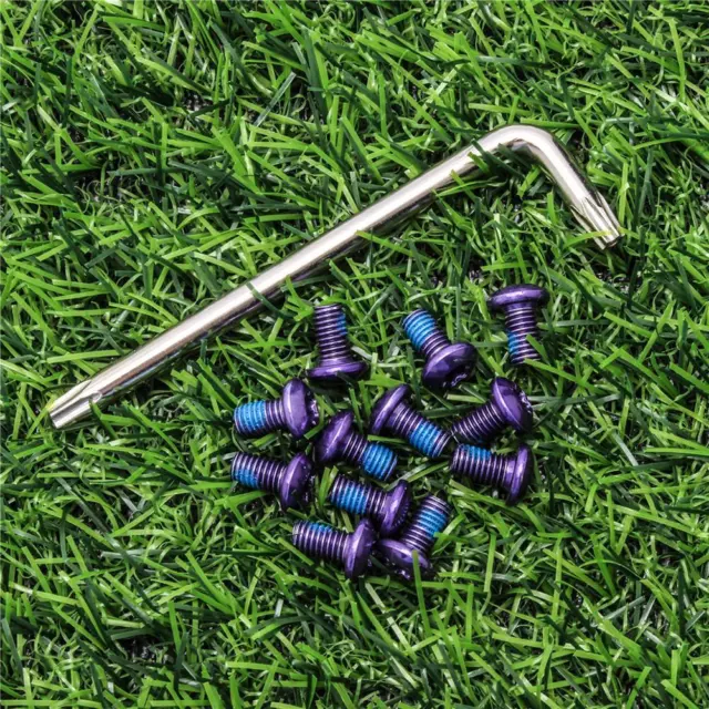 12pcs T25 M5 Bicycle Disc Brake Rotor Torx Bolts Bike Fix Screws (Purple)