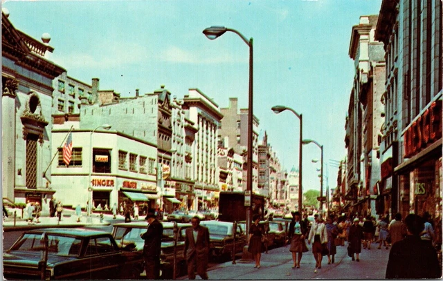 North Pearl Street Albany New York Ny Unposted Downtown Dexter Postcard