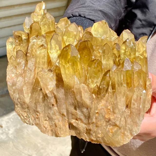 8.1LG New Find Yellow Phantom Quartz Crystal Cluster Mineral Specimen Healing