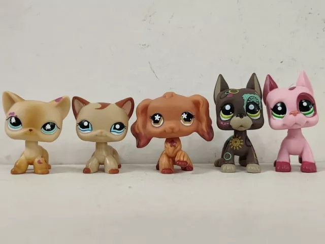 5pcs/lot LPS ToysLittlest Pet Shop Cat Dog #816#1024#716#1439#2598 Figures