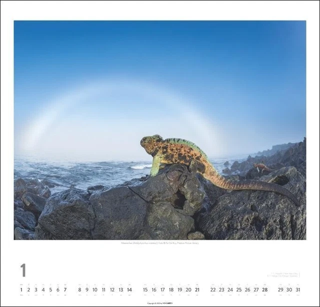 GALAPAGOS CALENDAR 2024. Stunning Photos of the Galapagos Islands and